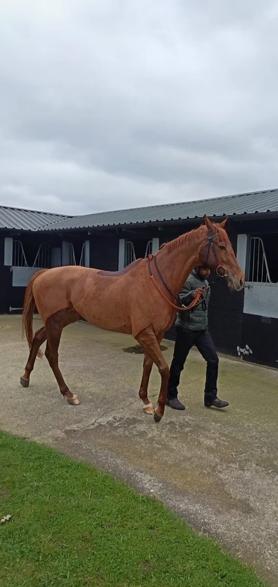 Michael Madden tweet media