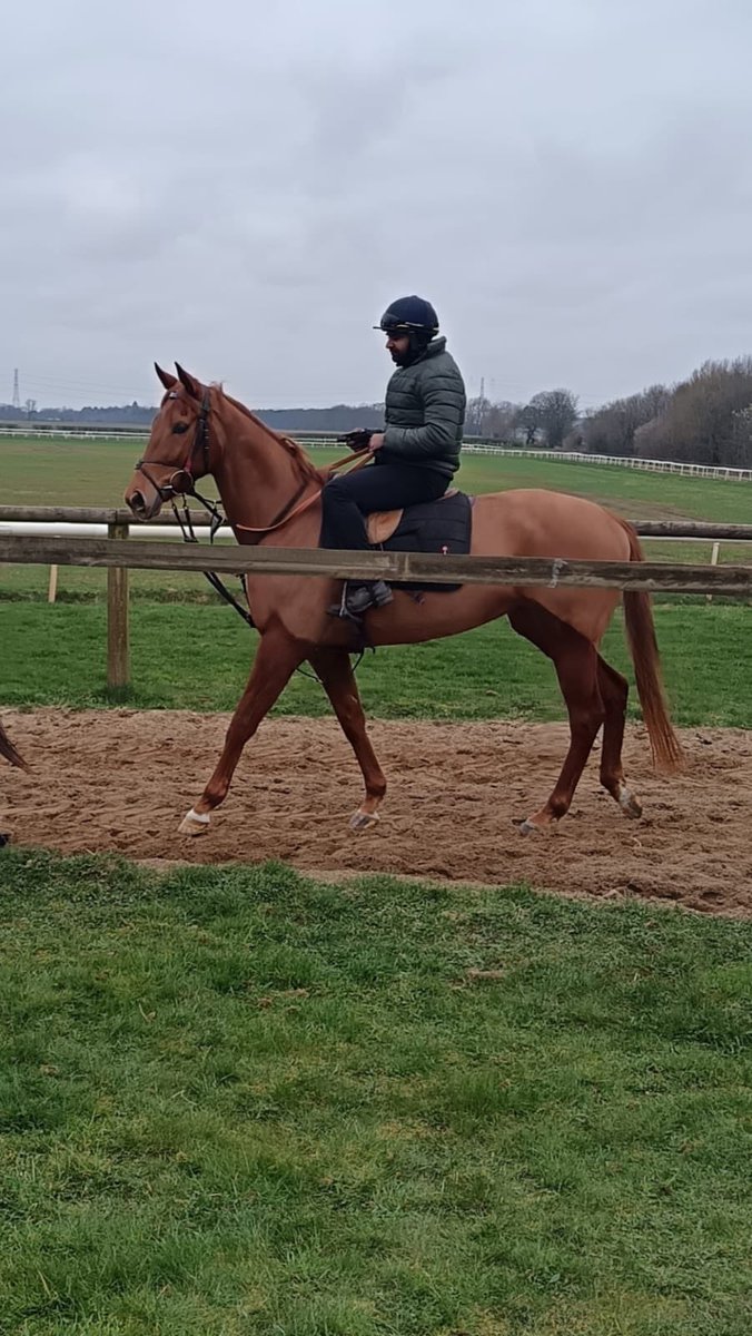 Michael Madden tweet media