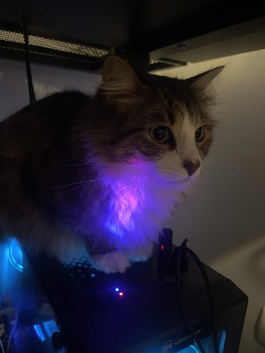 Almeno E-sport tweet media