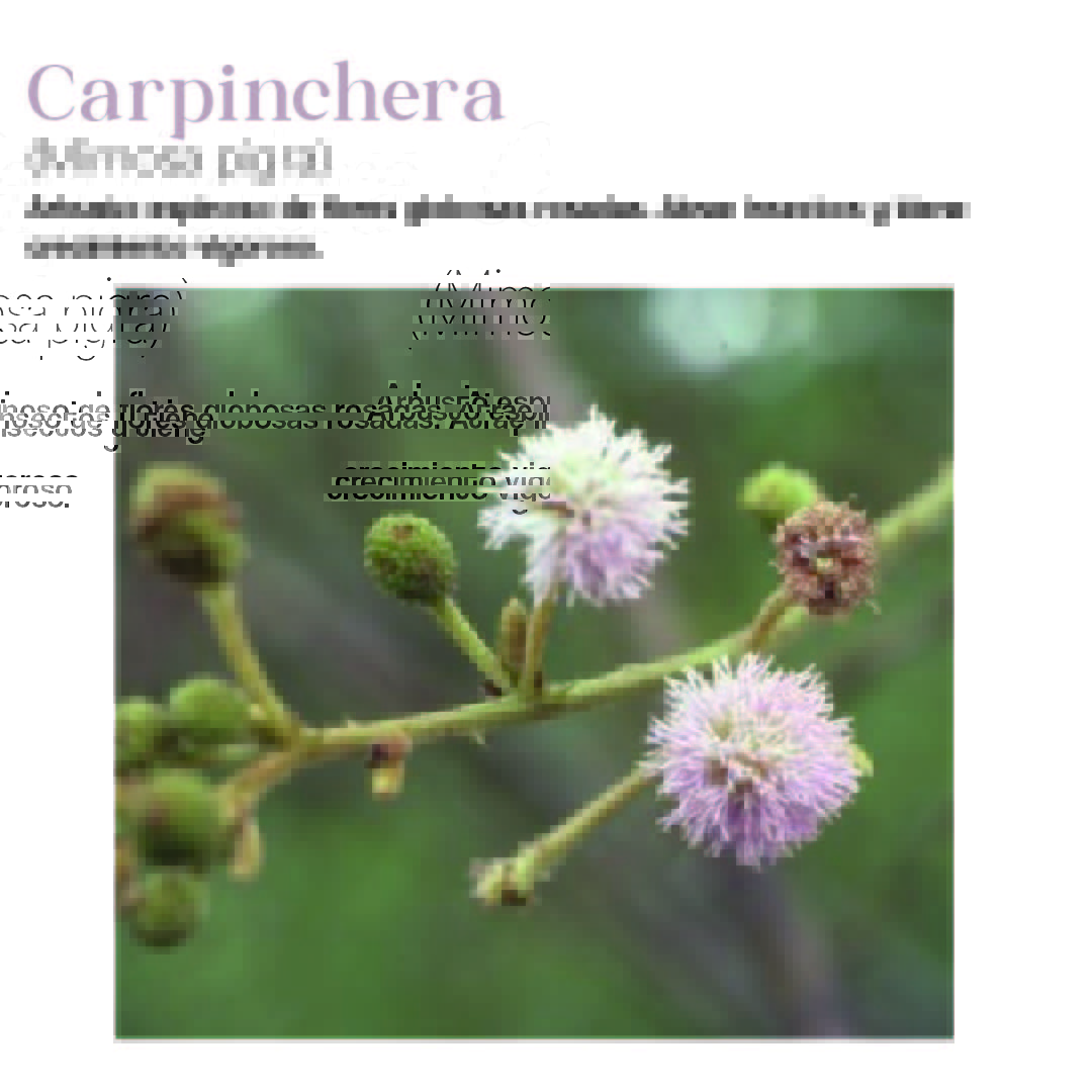 Arquitectura, Paisaje y Patrimonio tweet media