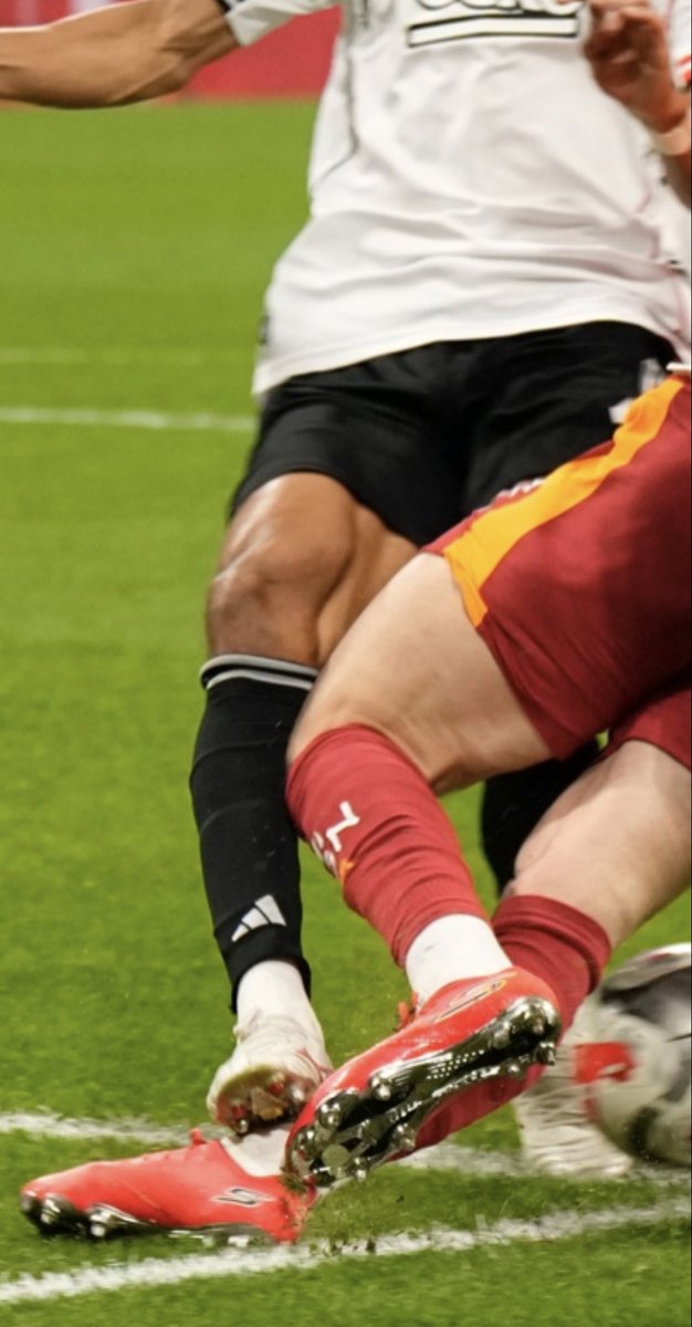 özgür tweet media