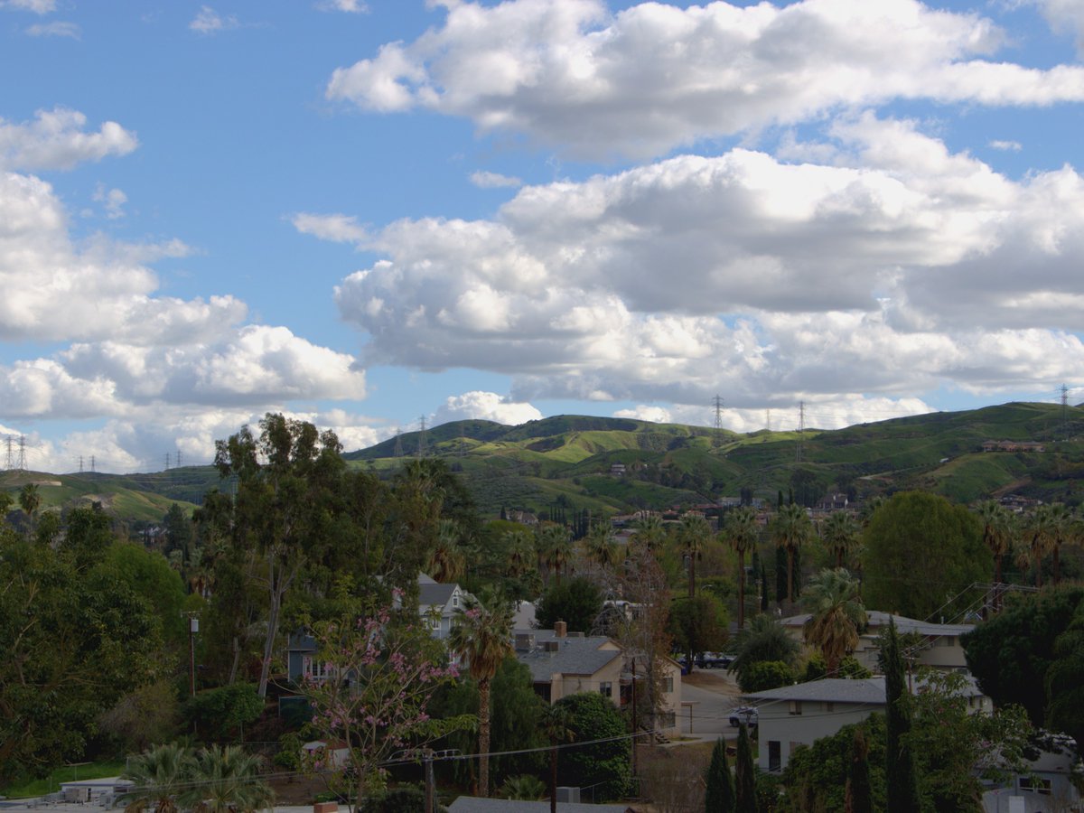 LLU Public Health tweet media