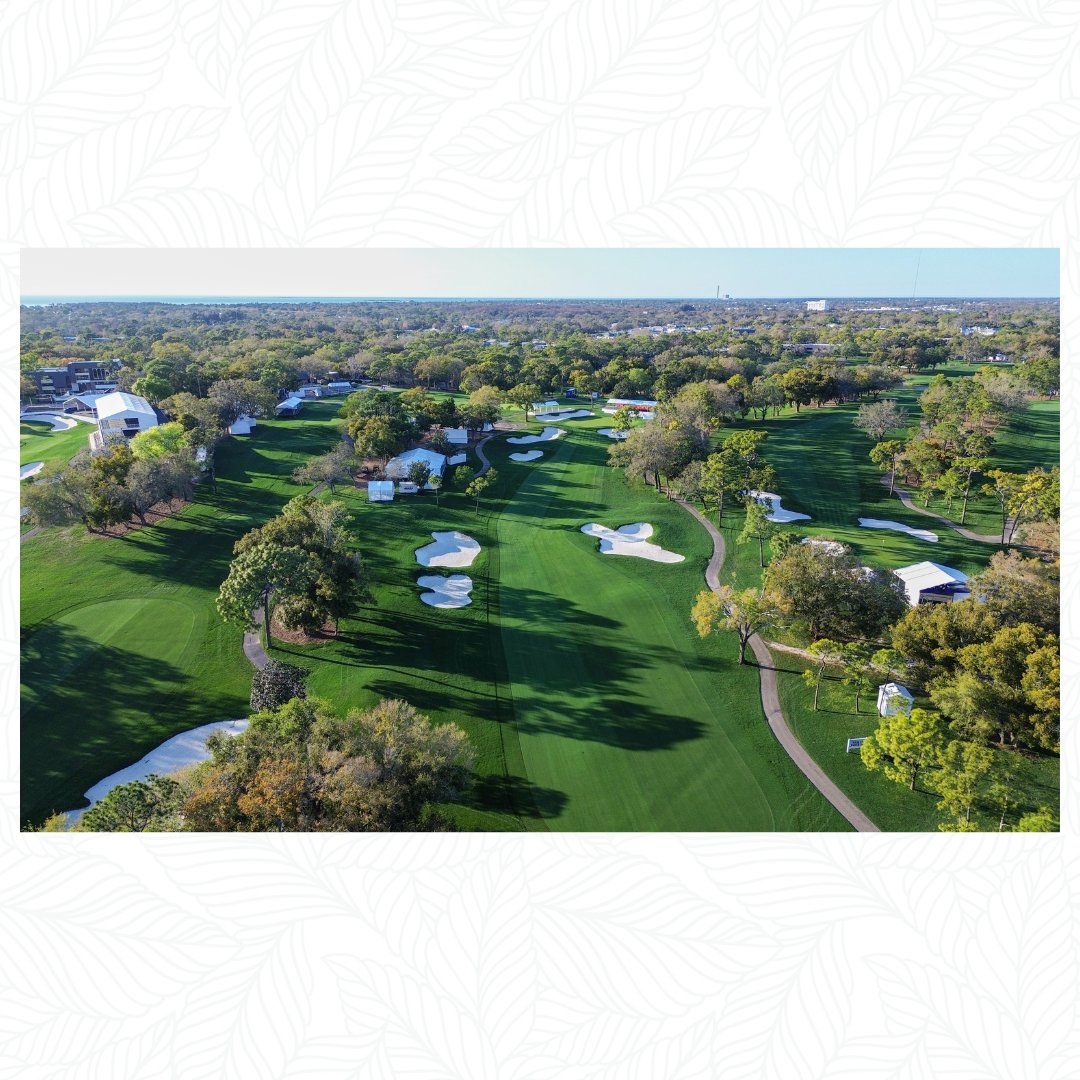 Innisbrook Resort tweet media