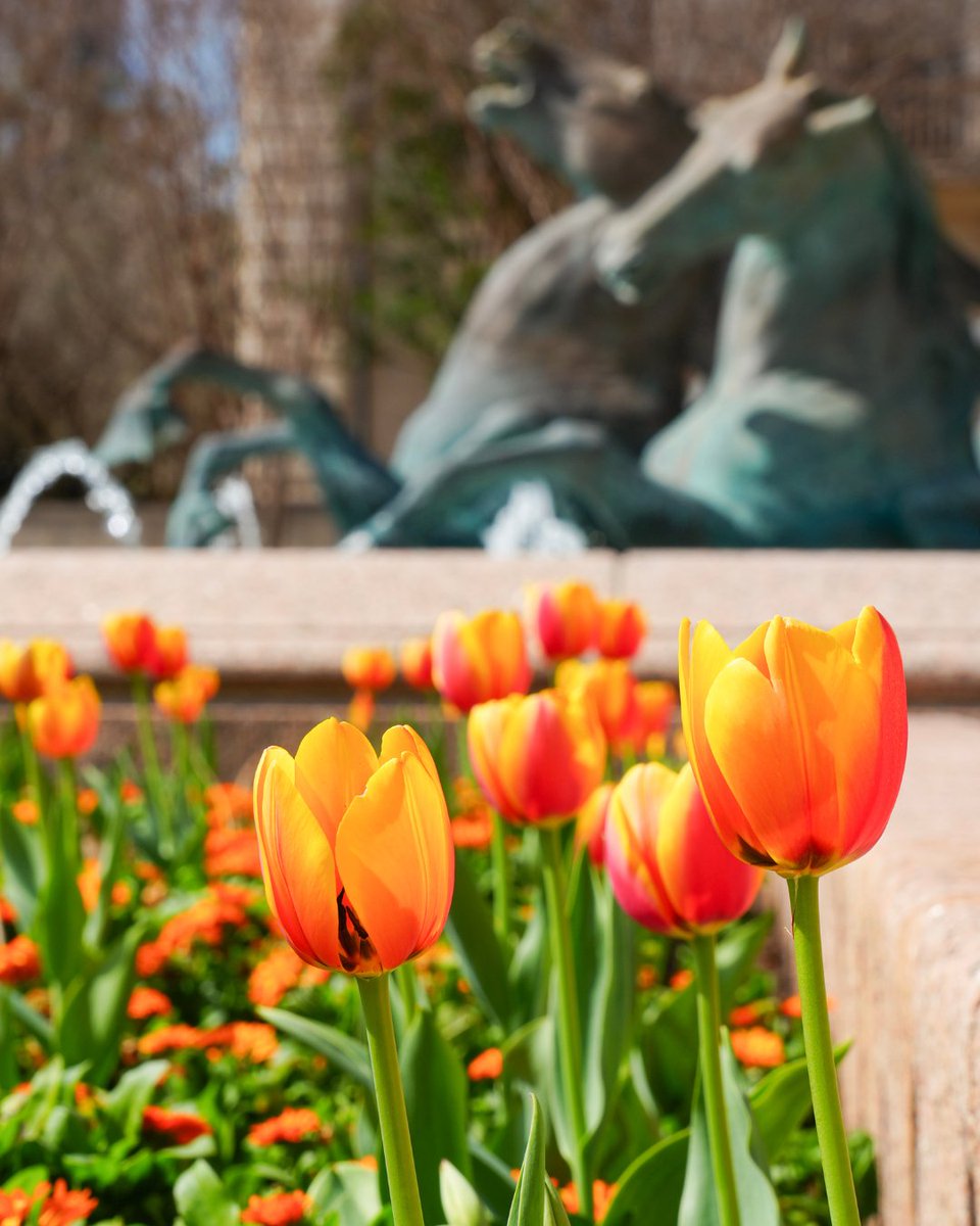 UT Austin tweet media