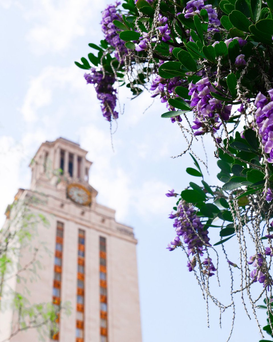 UT Austin tweet media