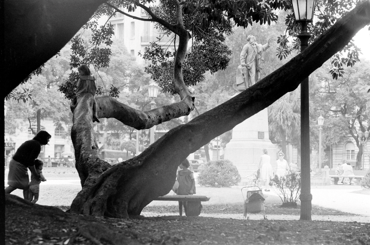 OldArg1810's tweet photo. Buenos Aires retratada por la revista LIFE durante el otoño del año 1964. 1/3 https://t.co/fx7g42sazG