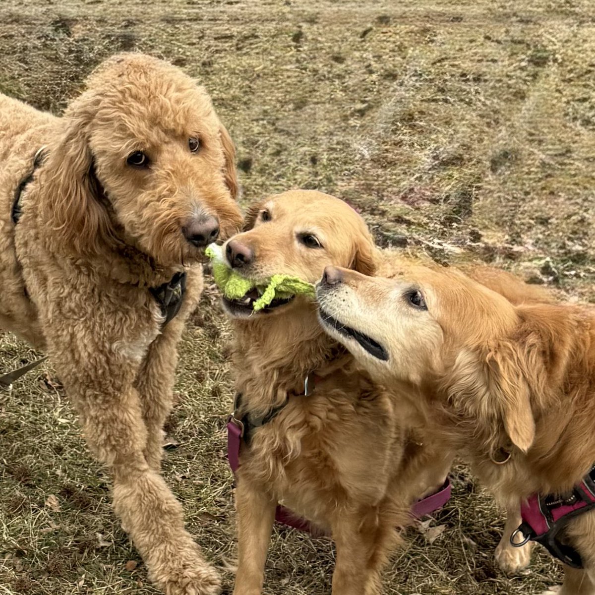 Justin Roberti tweet media