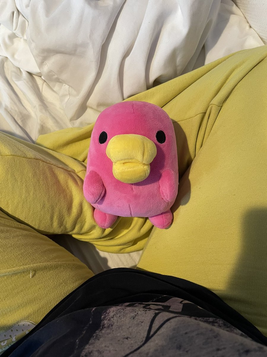 NValkyrie68079's tweet photo. MY SWEET BABY GIRL HAS ARRIVED ๐ญ๐ญ๐ญ
#hashizoutchi #tamagotchi https://t.co/6706jcqGKT