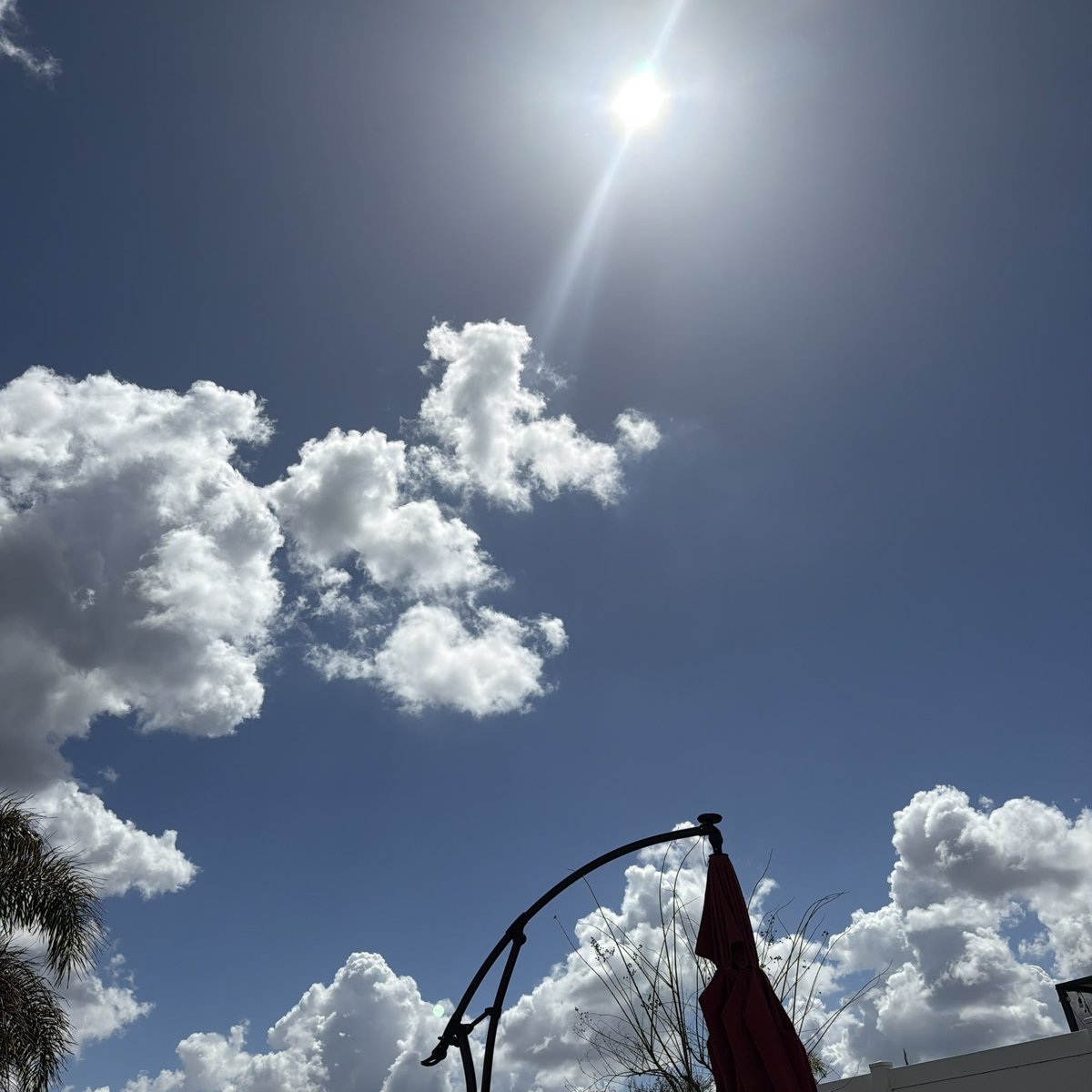 Thebeardedone76 tweet media