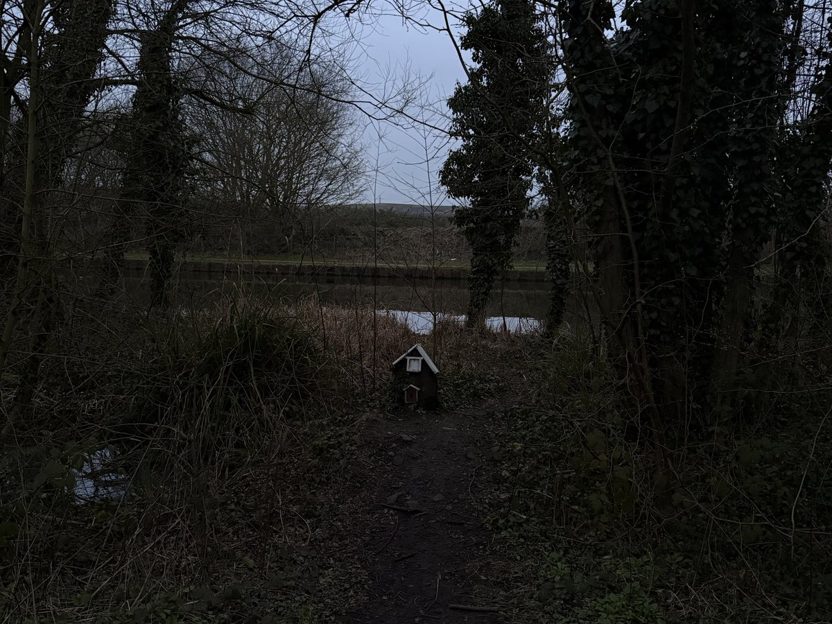 rly cool girl tweet media