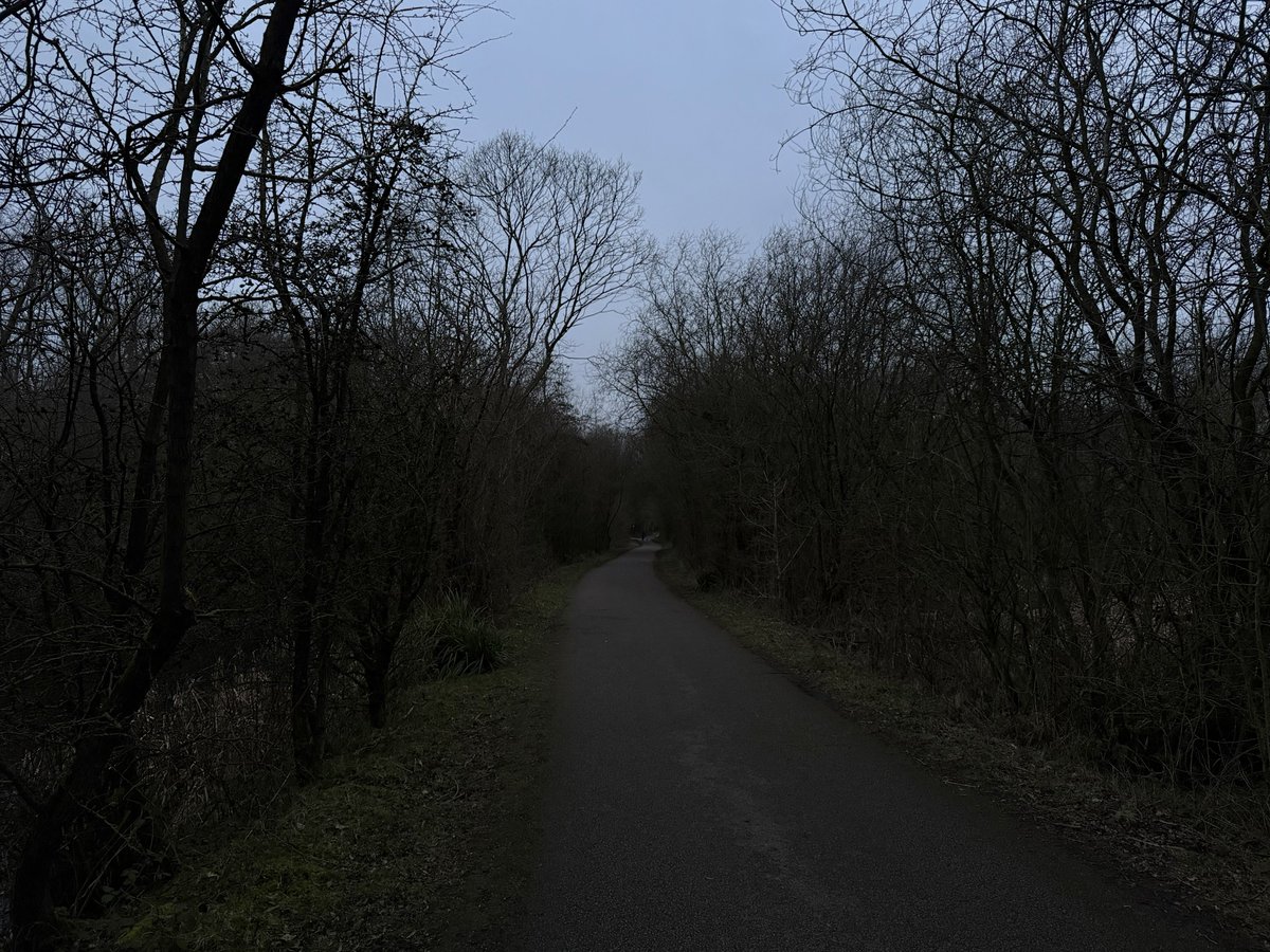 rly cool girl tweet media