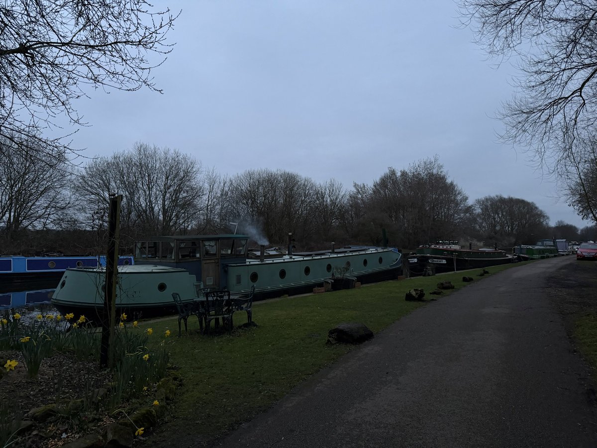 rly cool girl tweet media