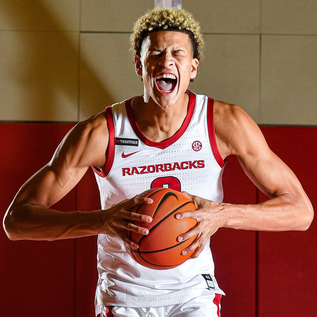 TorresOnArkansas tweet media