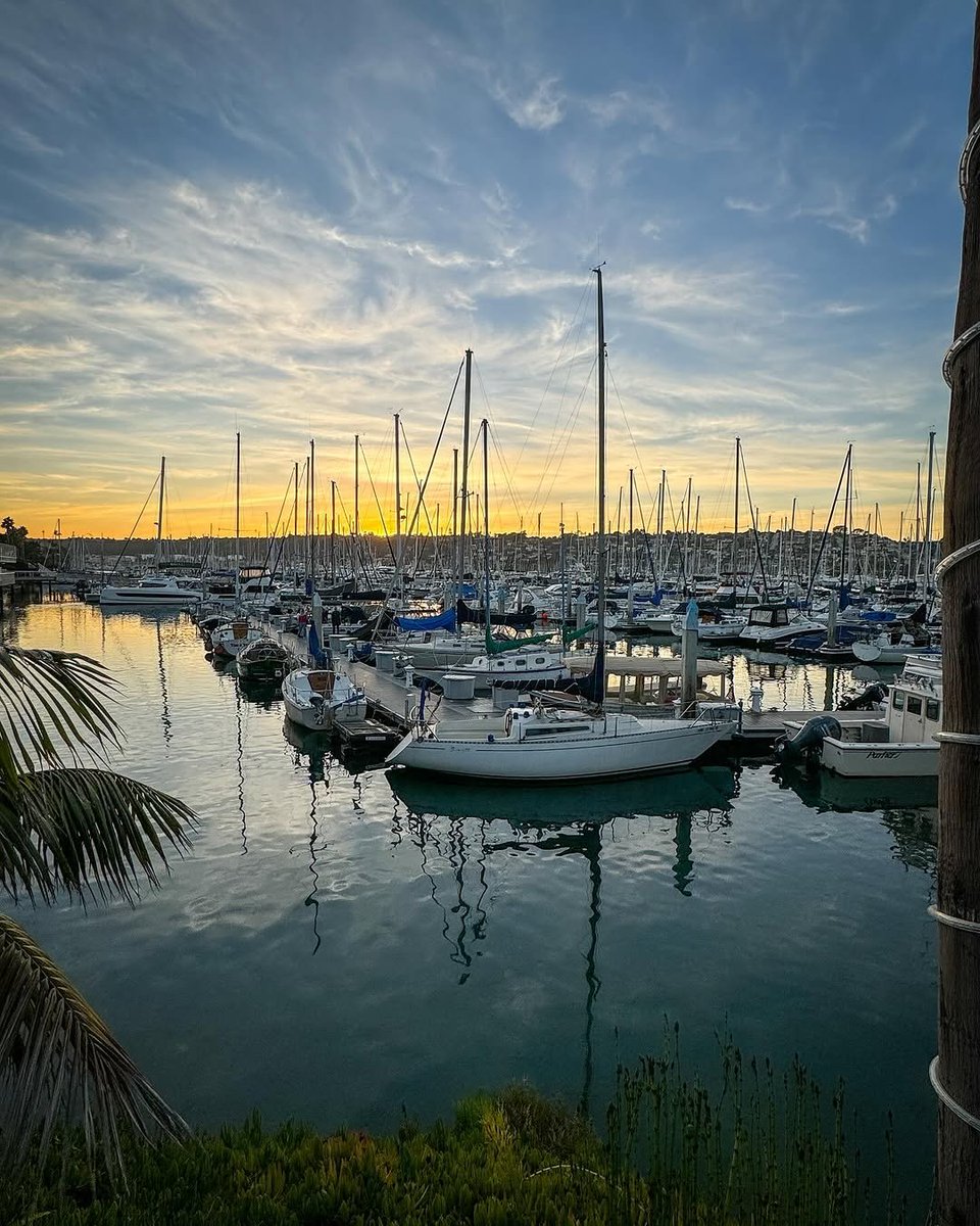 Humphreys Half Moon tweet media