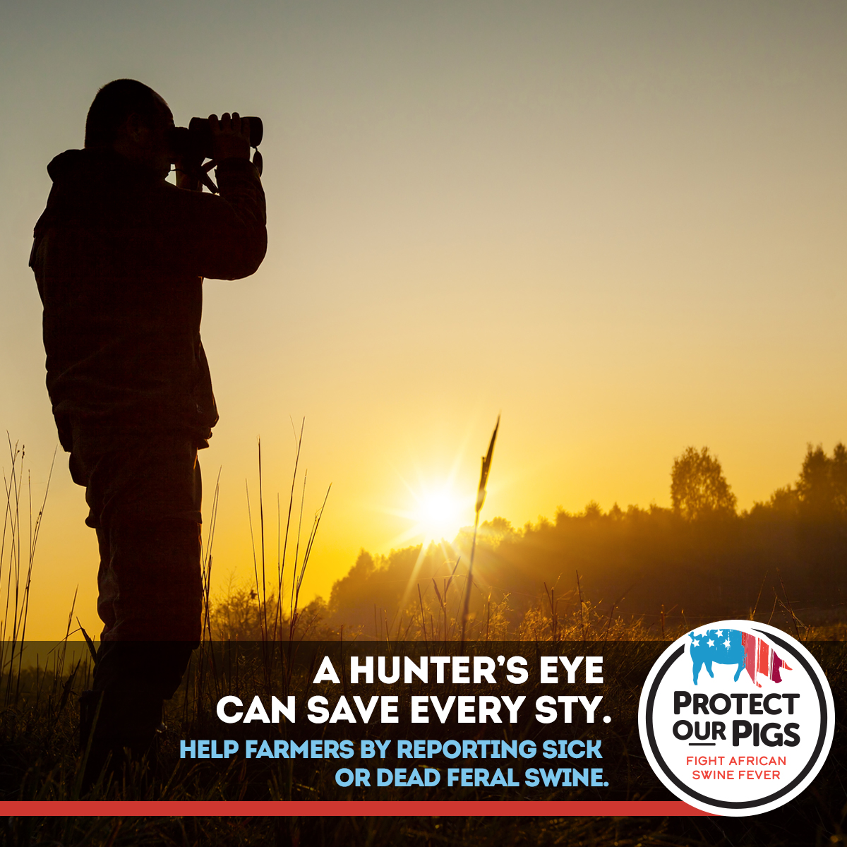 USDA Animal and Plant Health Inspection Service tweet media