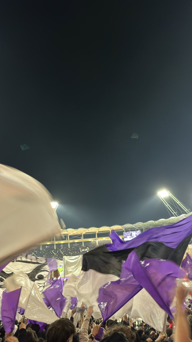 Pavox ( FCGB fan account ) tweet media