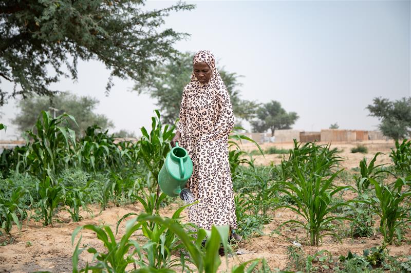 UNHCR Niger tweet media