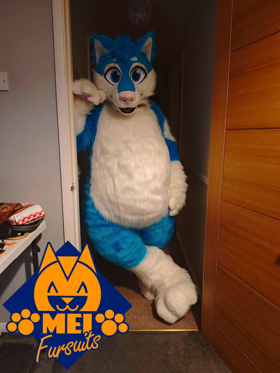 MeiFursuits's tweet photo. It is Wusky time! Featuring removable eyelids, digi/body padding, indoor and outdoor feet paws (grapesoda digi feet pattern and TPU ears by biglionsden) https://t.co/Yad95Hx2fl