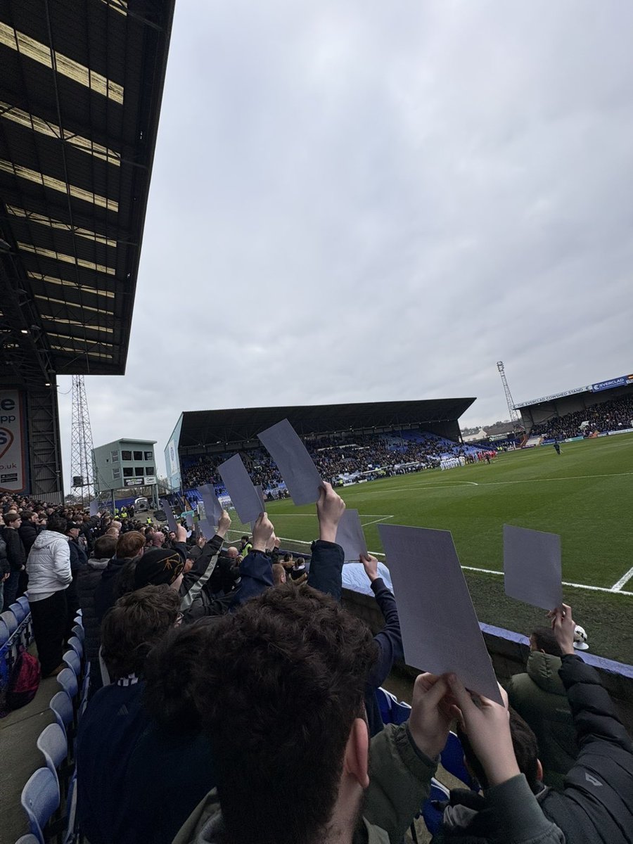 Evan🇸🇱 tweet media