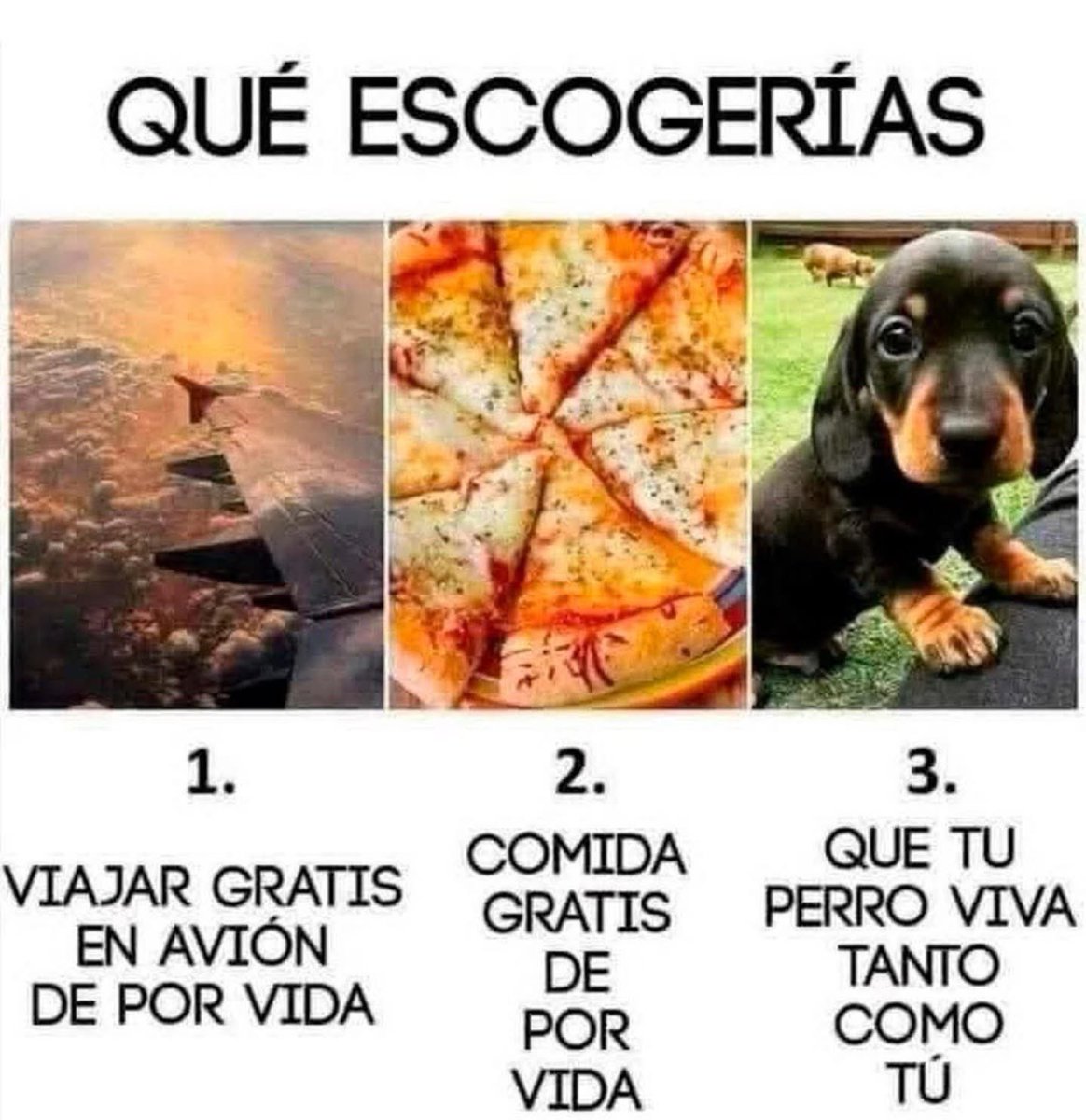 PensamientosX tweet media