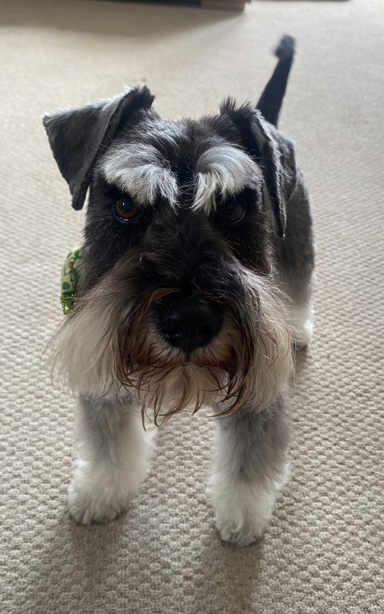 Jonny Ball (no, not that one)💂🏻♀️ tweet media