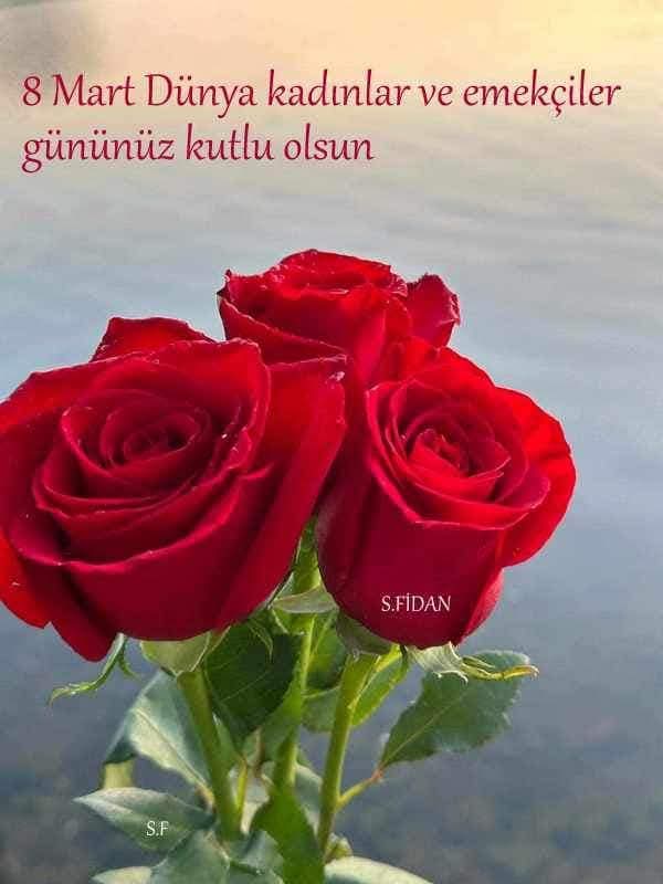 Yarın 8 mart dünya kadınlar günü tüm bayan arkadaşlarımın kadınlar gününü kutlar sağlıklı günler dilerim...