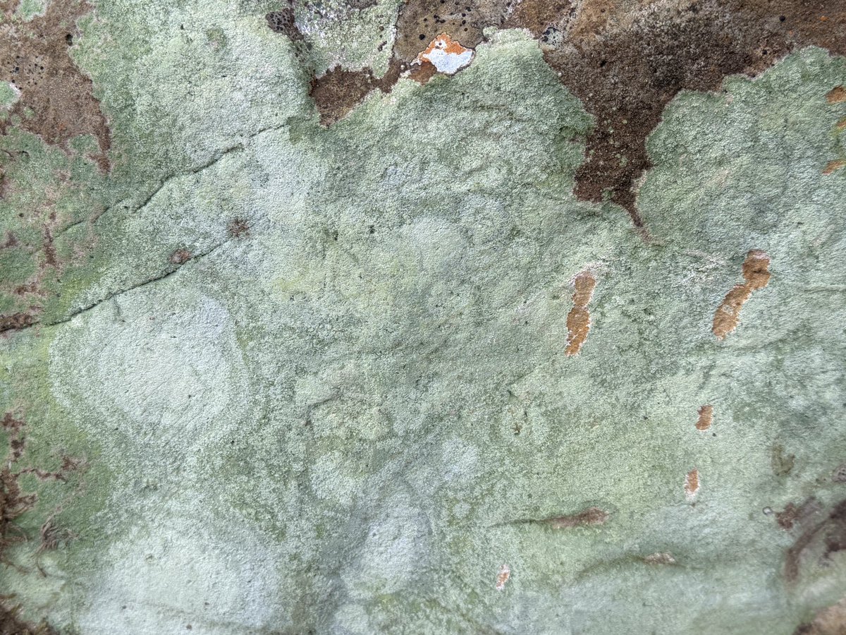 Ross Davidson | UK Mountain Photography tweet media