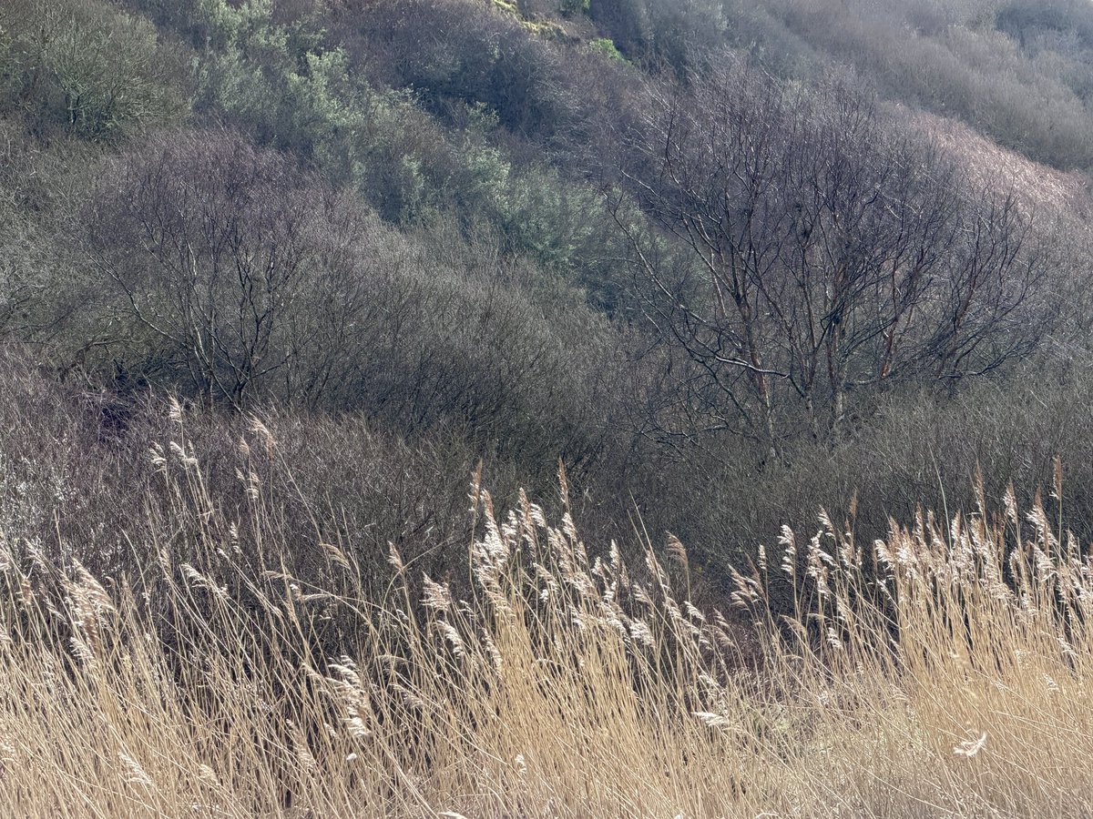 Ross Davidson | UK Mountain Photography tweet media