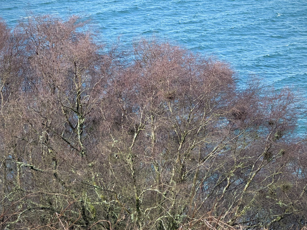 Ross Davidson | UK Mountain Photography tweet media