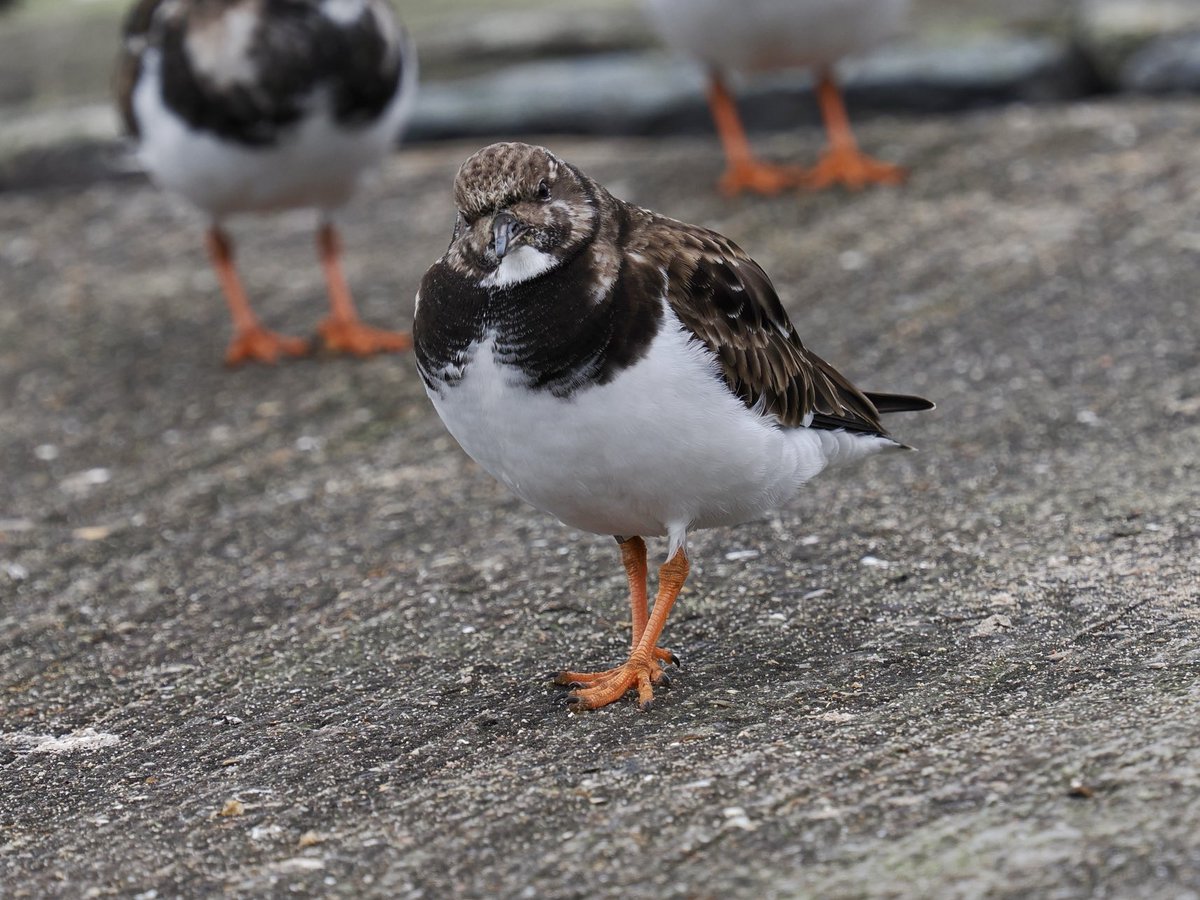 Rob Rackliffe tweet media