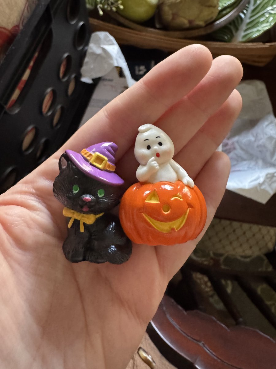 Maggie Lovitt tweet media