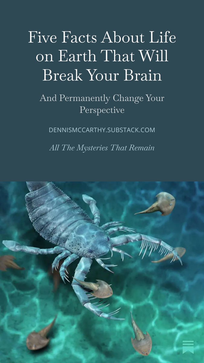 Dennis McCarthy tweet media