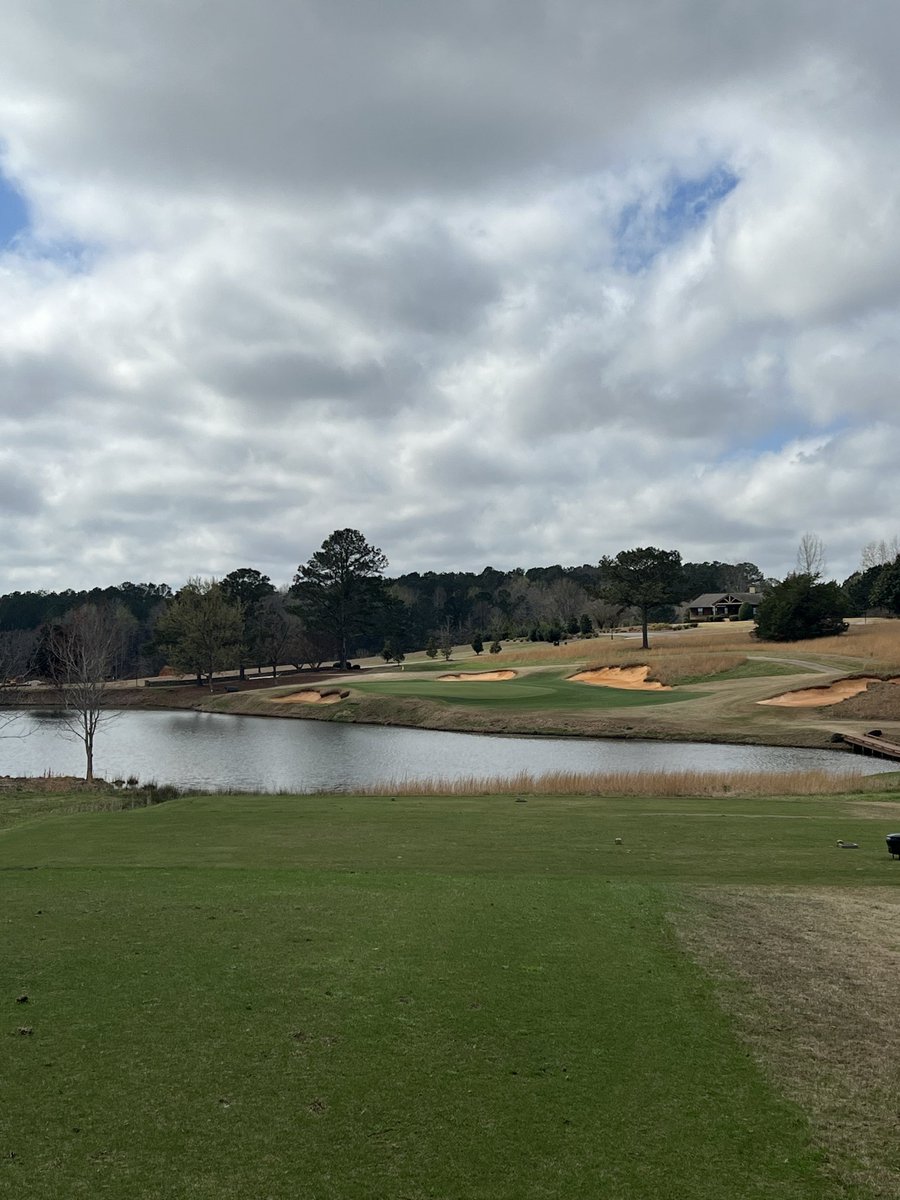 Snobby Scheffler tweet media