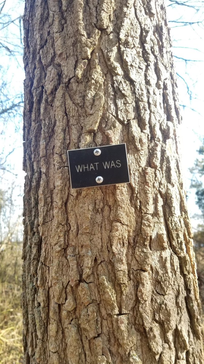 gay_horse420's tweet photo. Saw this like 5 years ago in the pine barrens. Never did figure out why it was there https://t.co/HUSZY7MX2T