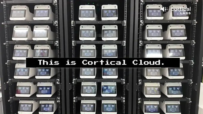 MJ🌟Cobsa | Designer Vibecoder tweet media