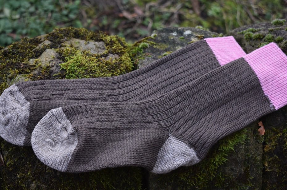 Little Green Space 🦋 tweet media