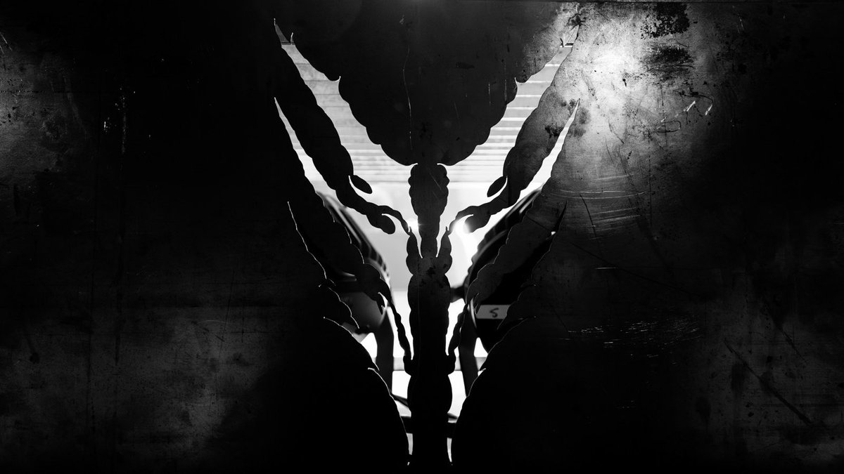 Orbit Culture tweet media