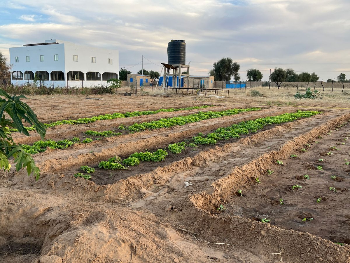 CONEMUND's tweet photo. En Mbolo Birane (#Senegal) trabajamos para mejorar la comercialización de productos agroecológicos de 7 GIE de mujeres productoras.

Descubre estas y otras acciones en: https://t.co/368bj40Hh7

#CooperaciónInternacional #Agroecología #MujeresRurales #AACID https://t.co/3wTSGoJvJ6