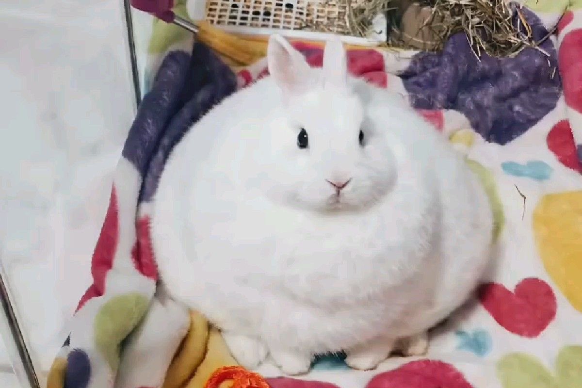 how i feel after any sort of food