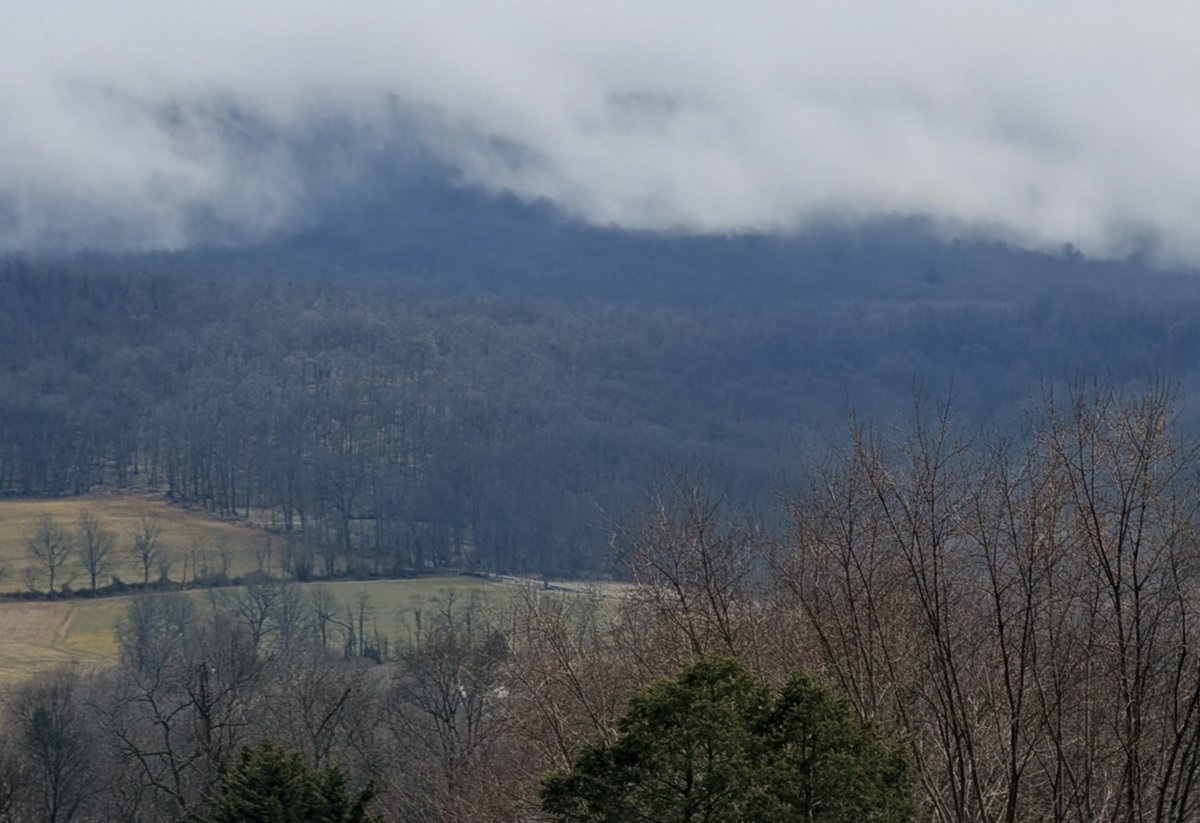 Had to get out of the clouds and come down to walk the dogs