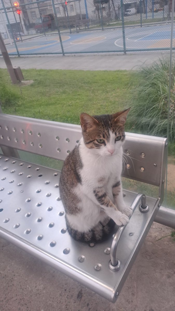 ,,,
Nasip'sizlik bizlik mesele değil; _Dünya bir sırâ,
__Her şey bir arâ...
Nasip de elbet uğrar buraya;
Elbet bir ara, 
Eğer nasipte varsa...
   __ Evvela sabr, Evvela nasip __