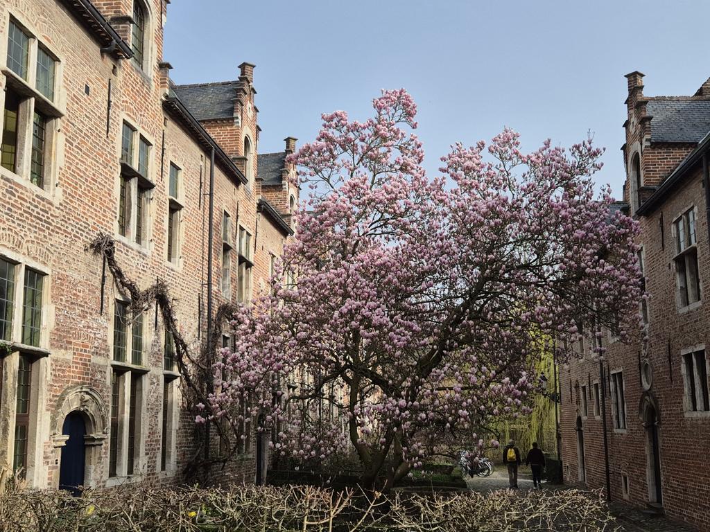 salwelsien's tweet photo. Lente in Leuven. Stadion mooi gelegen tussen binnenstad en campuspark. De meest burgerlijke club van België? In ieder geval het lelijkste clublogo. #OHLWES https://t.co/i8qjr8UhPR