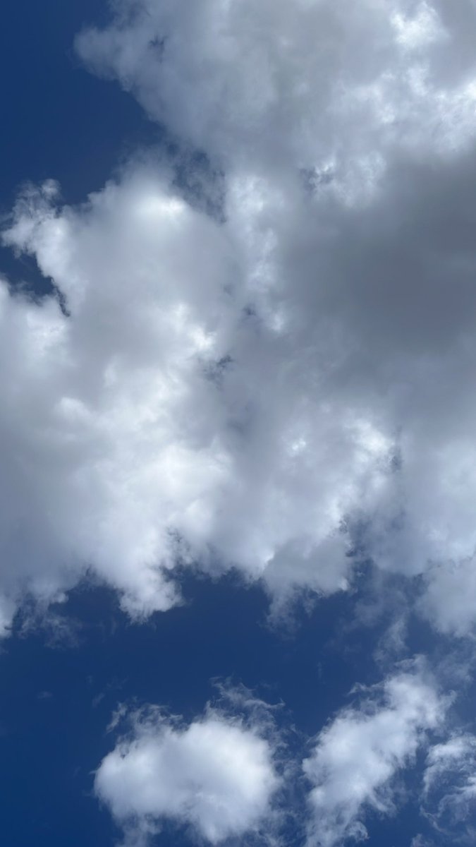 AmandaBarren tweet media