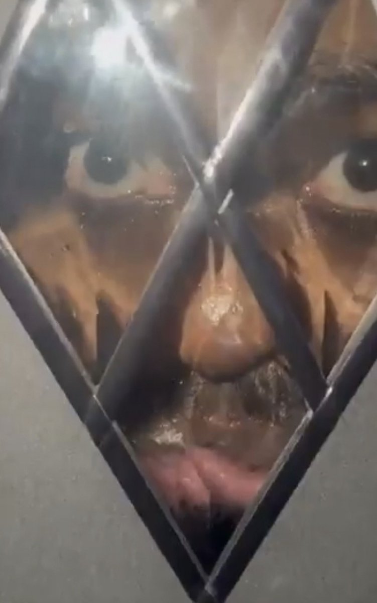 I am the face of modern Britain 🇬🇧