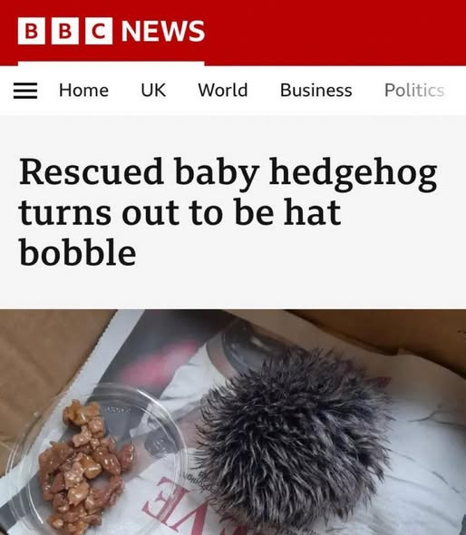 Scott Cheggs tweet media