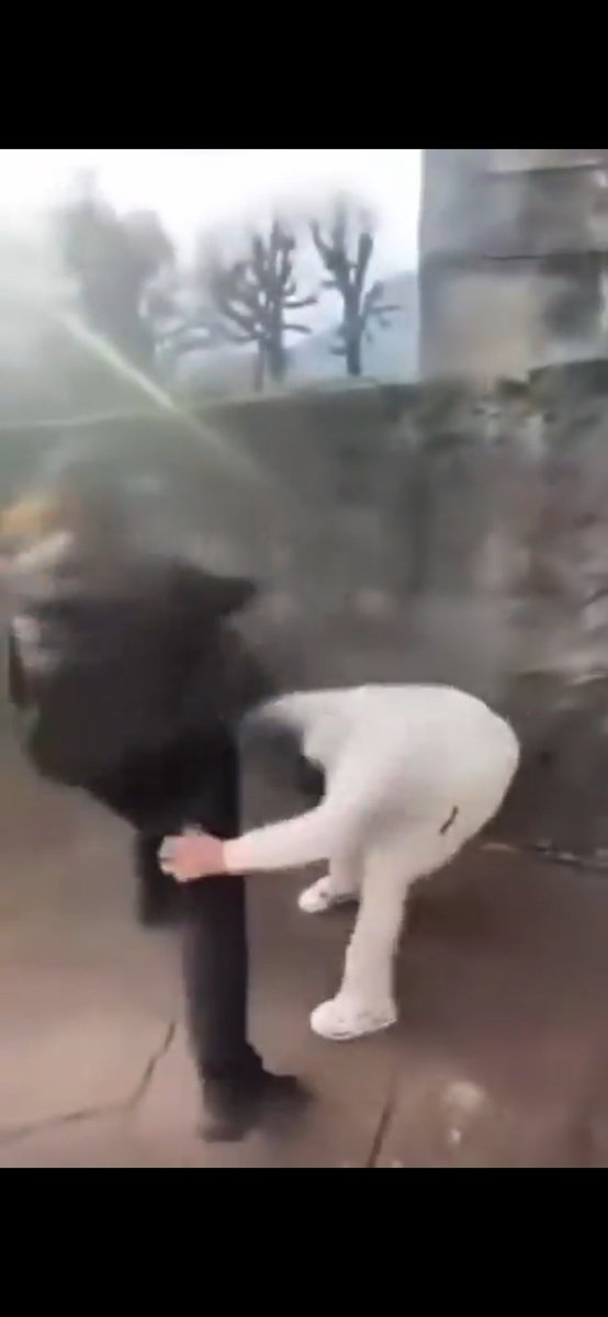 Rayanne 🏀 tweet media