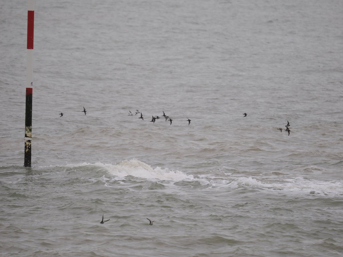 Rob Rackliffe tweet media