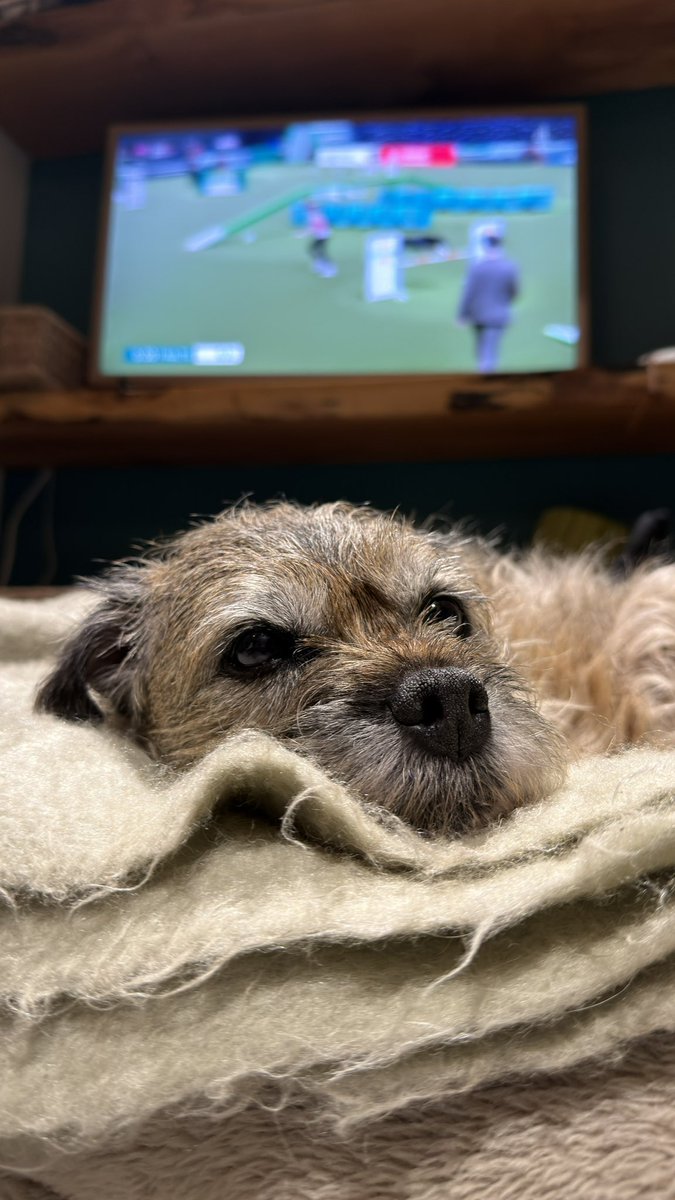 Maggie Moo 🏴 tweet media