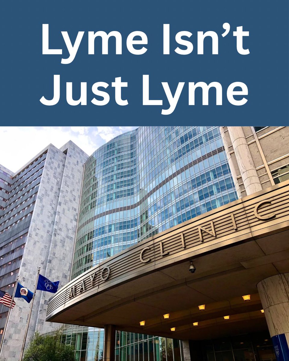 Tick Boot Camp tweet media