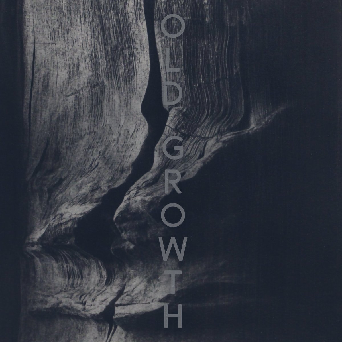 CorradoMariaDeSantis tweet media